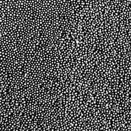 Conditioned Stainless Steel Shot for Airless Blasters