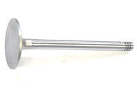 AMC 232, 256 Replacement Valves