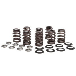 Valve Spring Kits for Milwaukee-Eight™ Heads