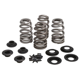Beehive Valve Spring Kit for 5/16" Valves, .660" Lift