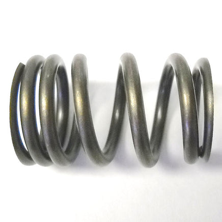 QualCast Valve Spring for Select Chevy & GM applications