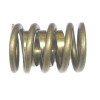 QualFast .540" Max. Lift High Performance Springs