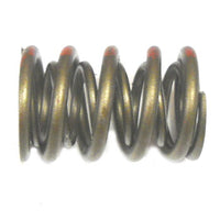 QualFast .600" Max. Lift High Performance Springs