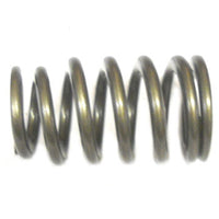 QualFast .550" Max. Lift High Performance Springs