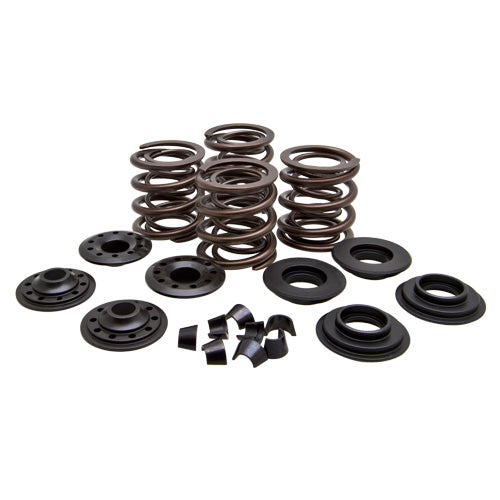 Panhead 1948 to 1965 Valve Spring Kit | .415