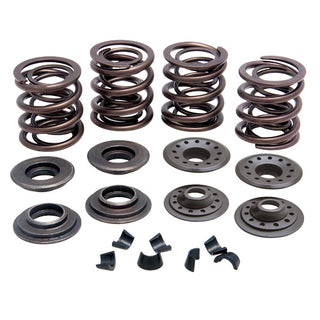 OE Replacement Shovelhead™ 74 1966 to 1977 Valve Spring Kit