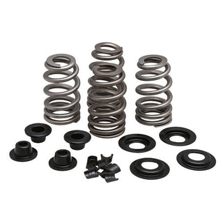 Beehive Valve Spring Kit for 5/16