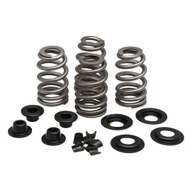 Beehive Valve Spring Kit for 5/16" Valves, .610" Lift