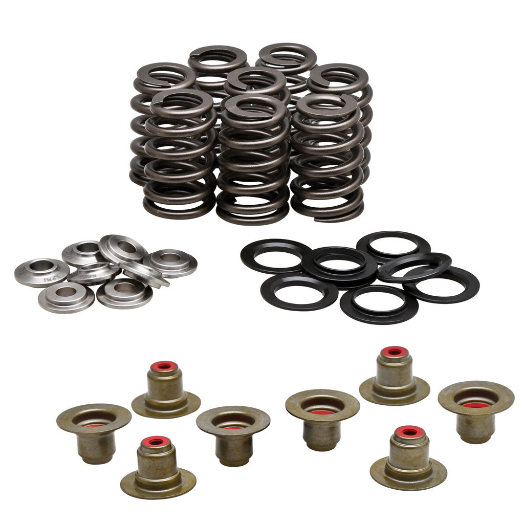 Ball Valve Spring Kit Valve Spring Kits for Milwaukee-Eight™ Heads| Goodson Tools & Supplies