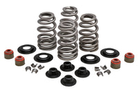 Beehive Valve Spring Kit for 7mm Valves, .660" Lift