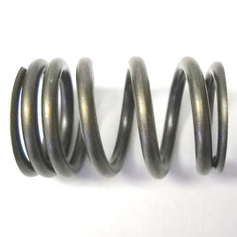 QualCast Valve Spring for Select Chevy & GM applications