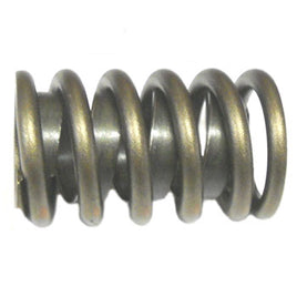 QualFast .490" Max. Lift High Performance Springs