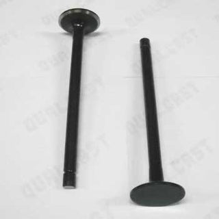 Ford 6.0L Powerstroke Black Lightning Diesel Performance Valves