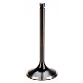 Single Groove Black Diamond Replacement Valves for Evo, Big Twin, Twin Cam